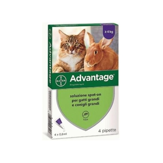 Picture of Advantage Large Cats – Monthly Flea Treatment for Cats Over